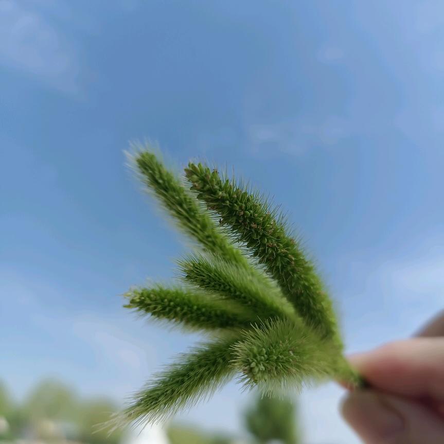 ಢ᭄幸运᪄ᩏᩘ相随ঞ᭄༊