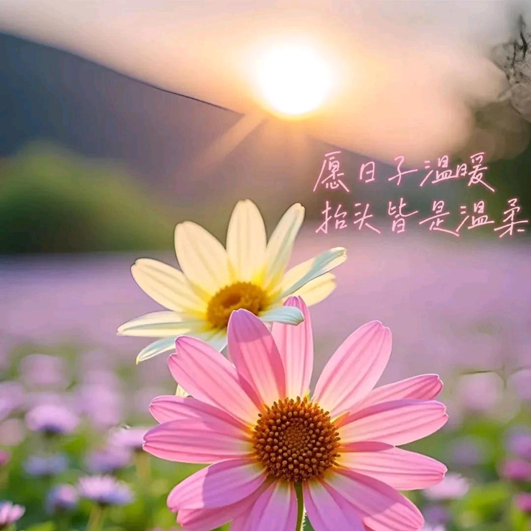 哪吒三太子^O^生死看淡