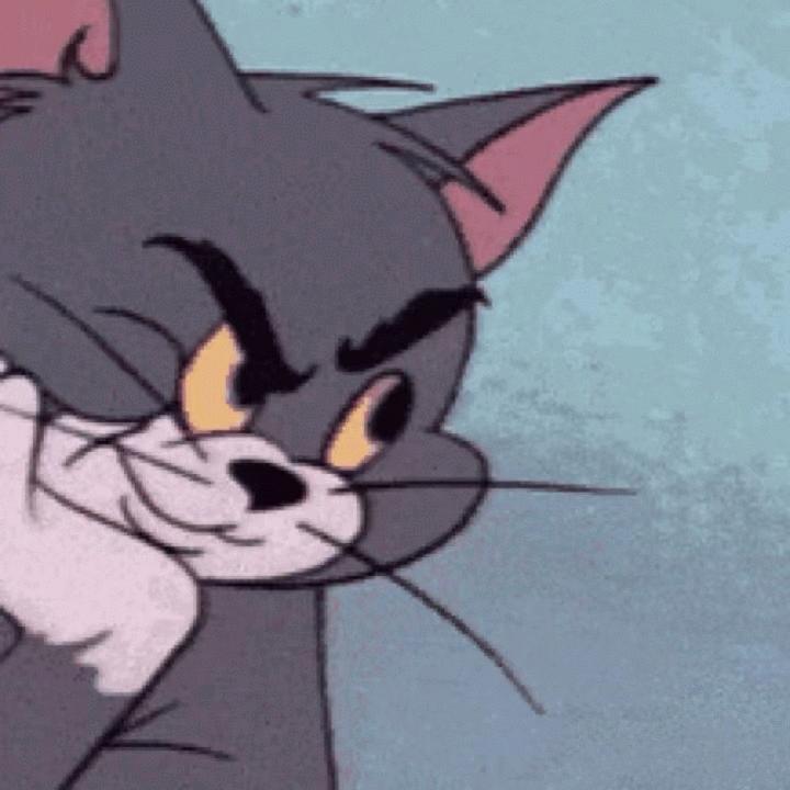 𝑴𝒐𝒍𝒍𝒚