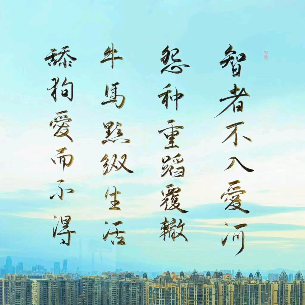 孤舟(封票)