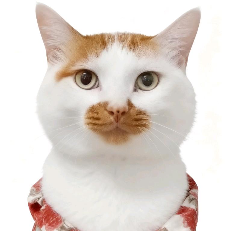 瞎扯