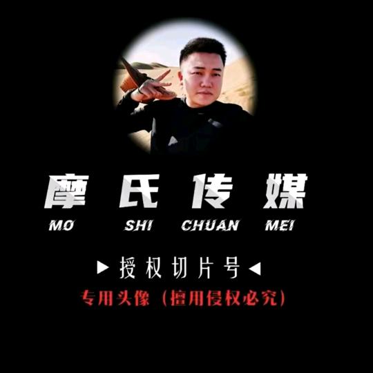 达摩切片_小鲤鱼