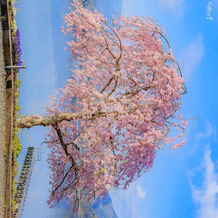 航拍地球