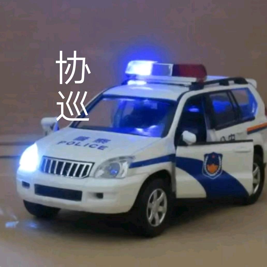 协巡