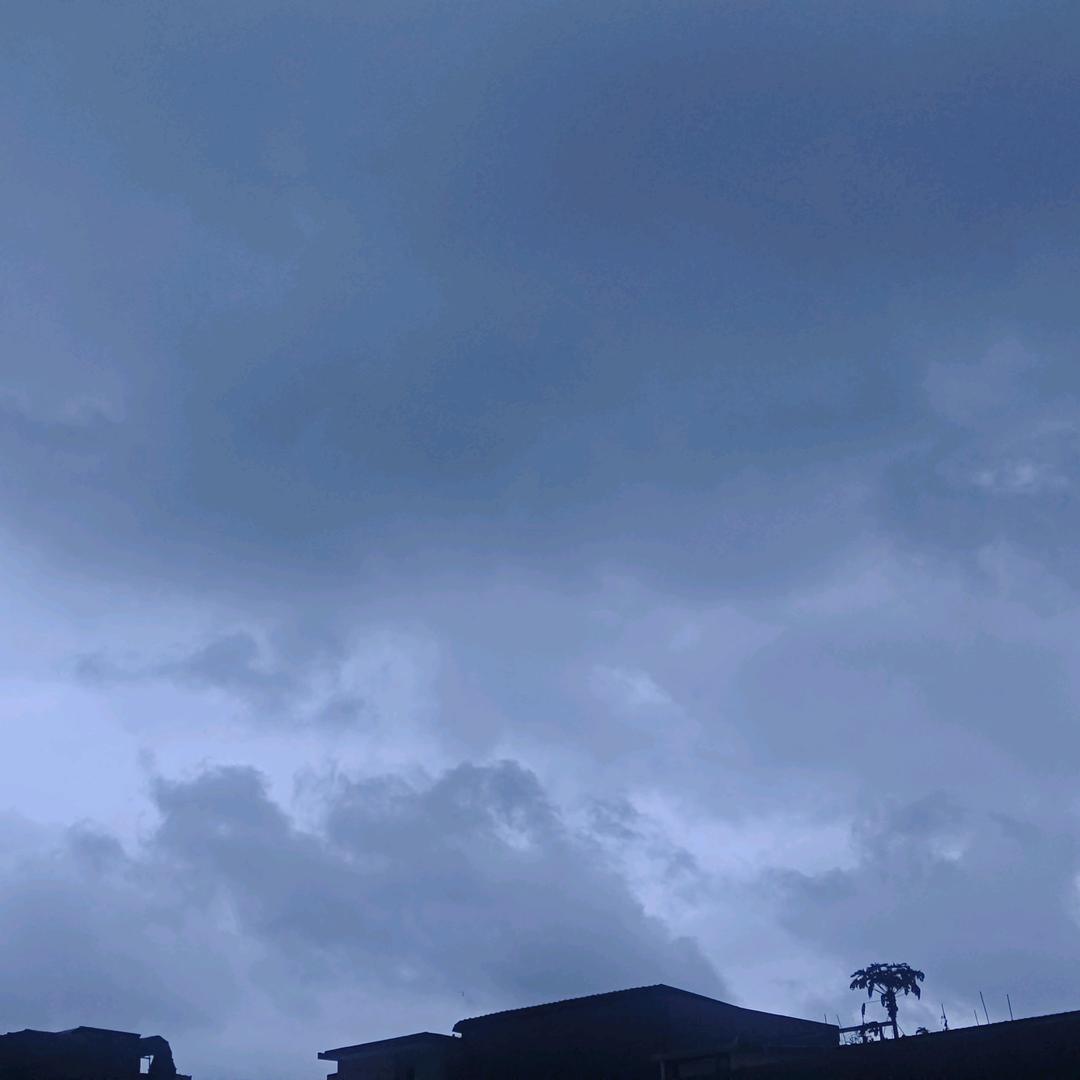 七彩杨子首徒（晚枫）