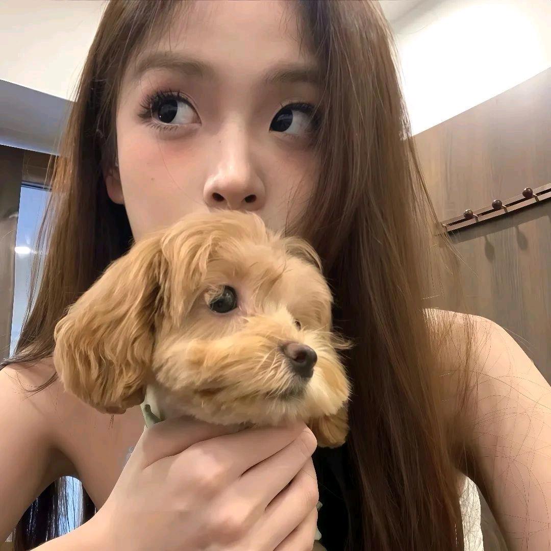 为什么不好好读书
