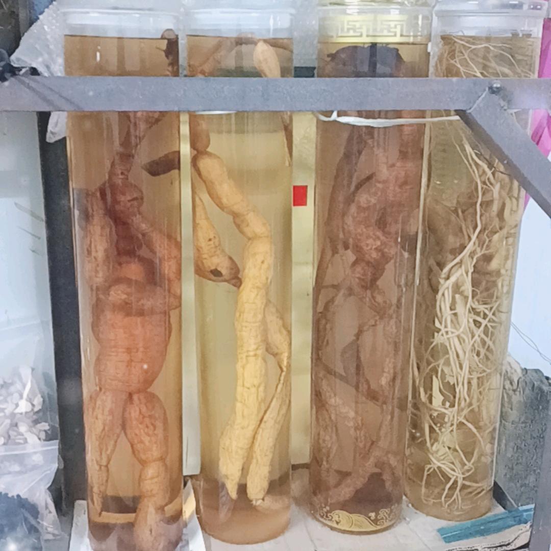 幸福人生