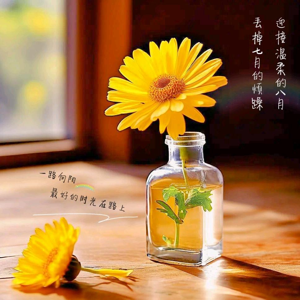 💞༊🌺婷ꦿ꯭丫头꧔ꦿ᭄💞