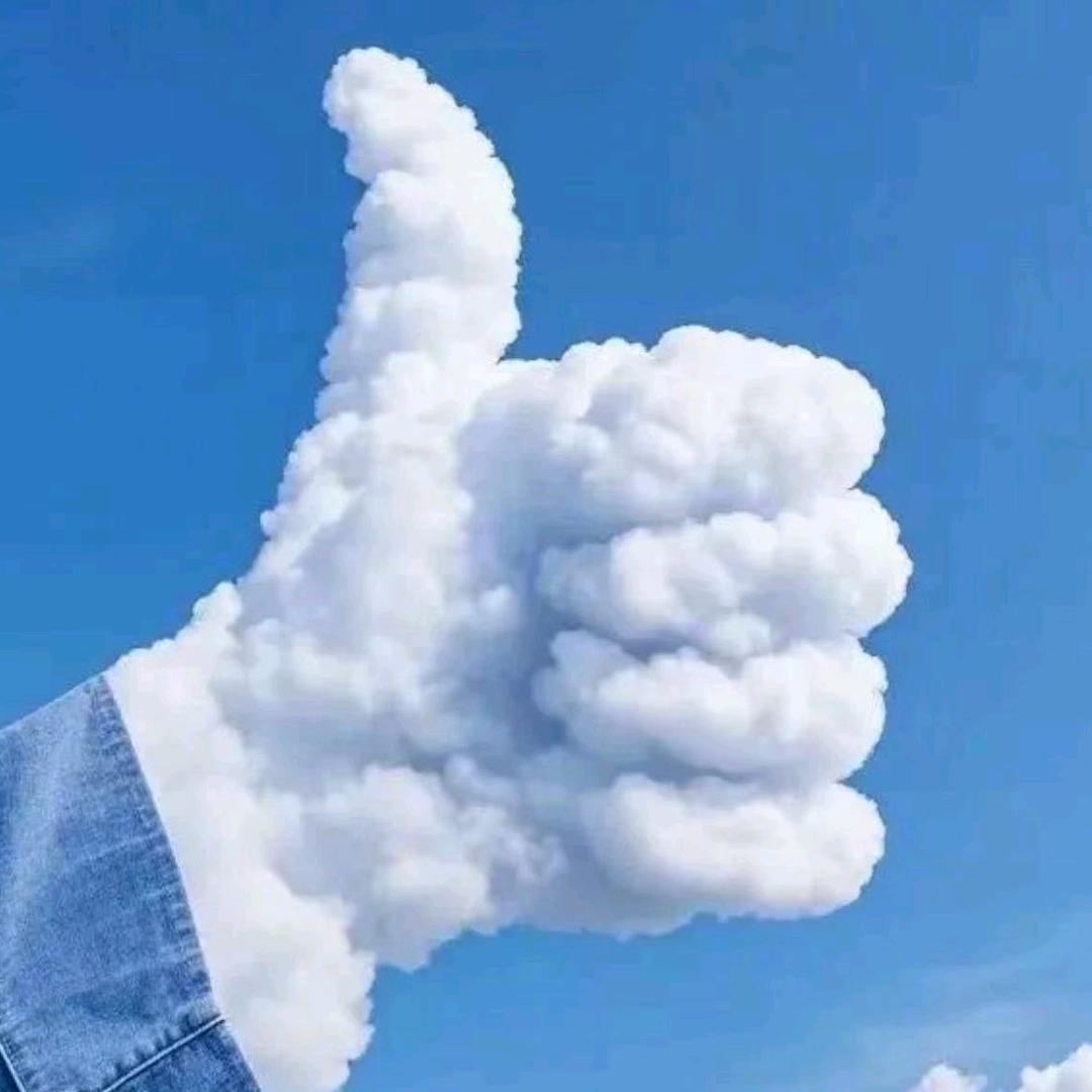 爱办 visa 的大林