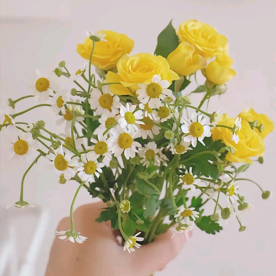 是艳，不闲