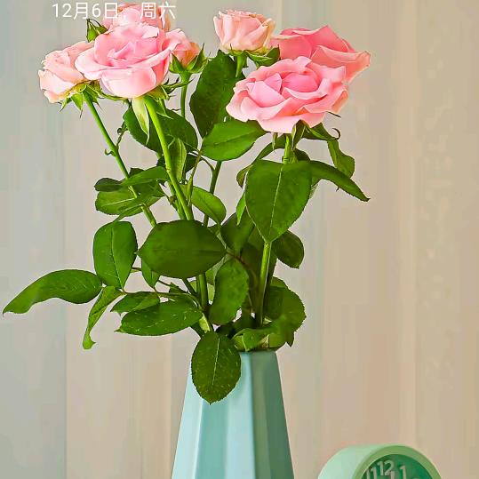 人生如梦🍒🍒