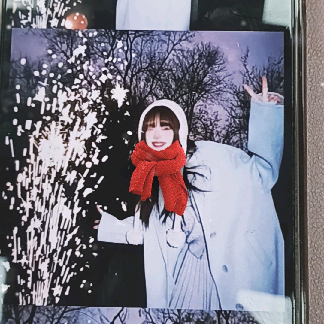 魅力女人花