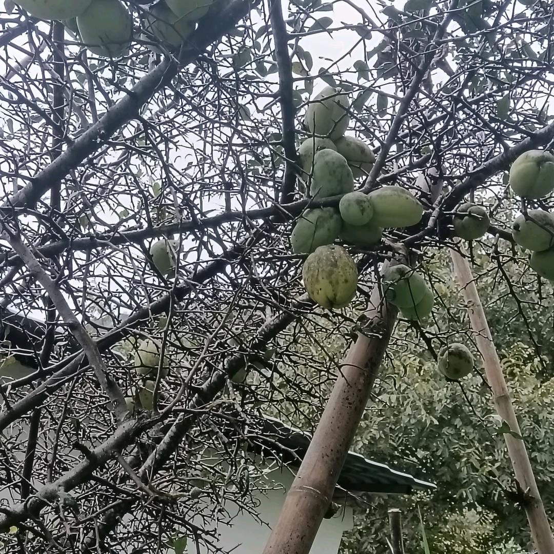 ？？