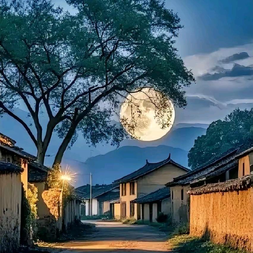 南枫