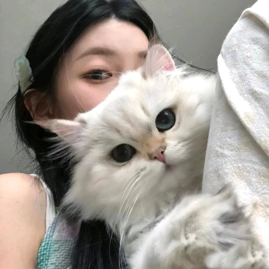 章鱼小丸子
