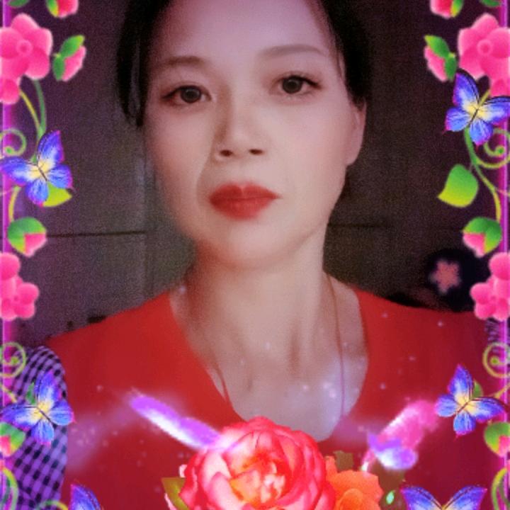 荷花姐