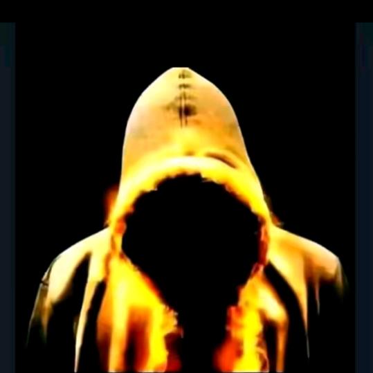 🧚‍♂️***浪浪