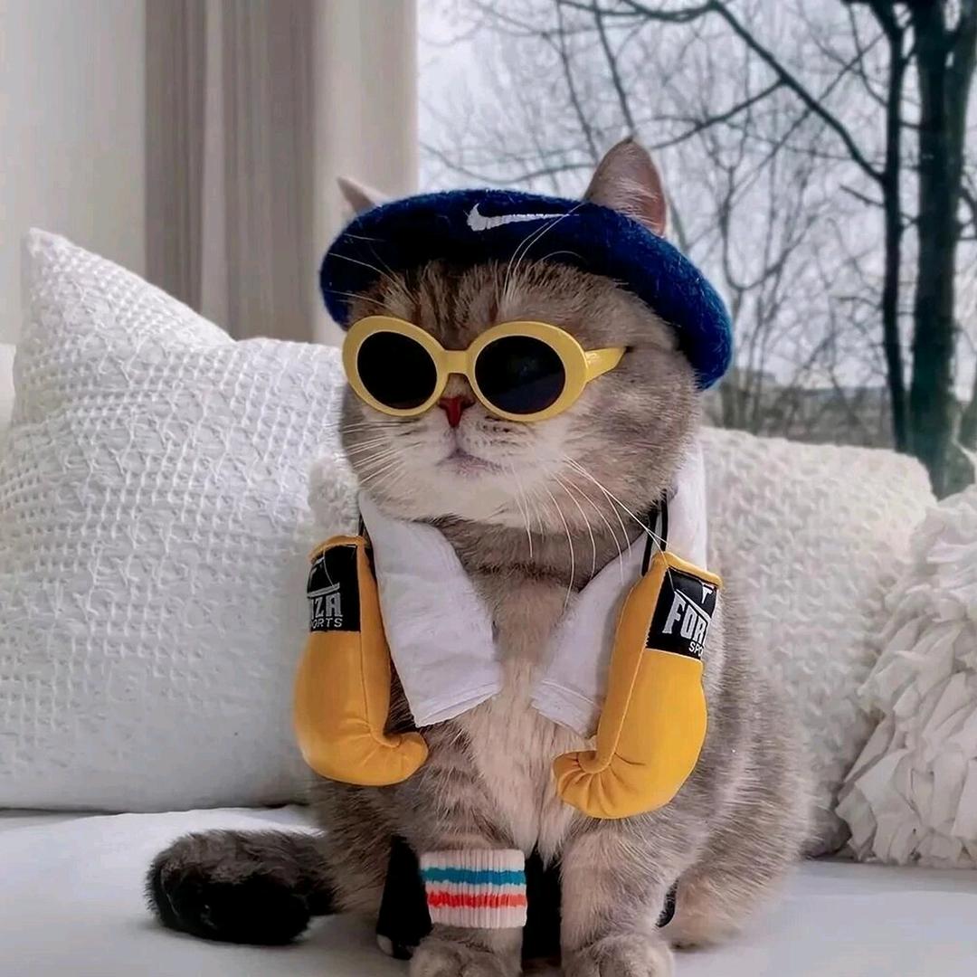 平公子么么哒。