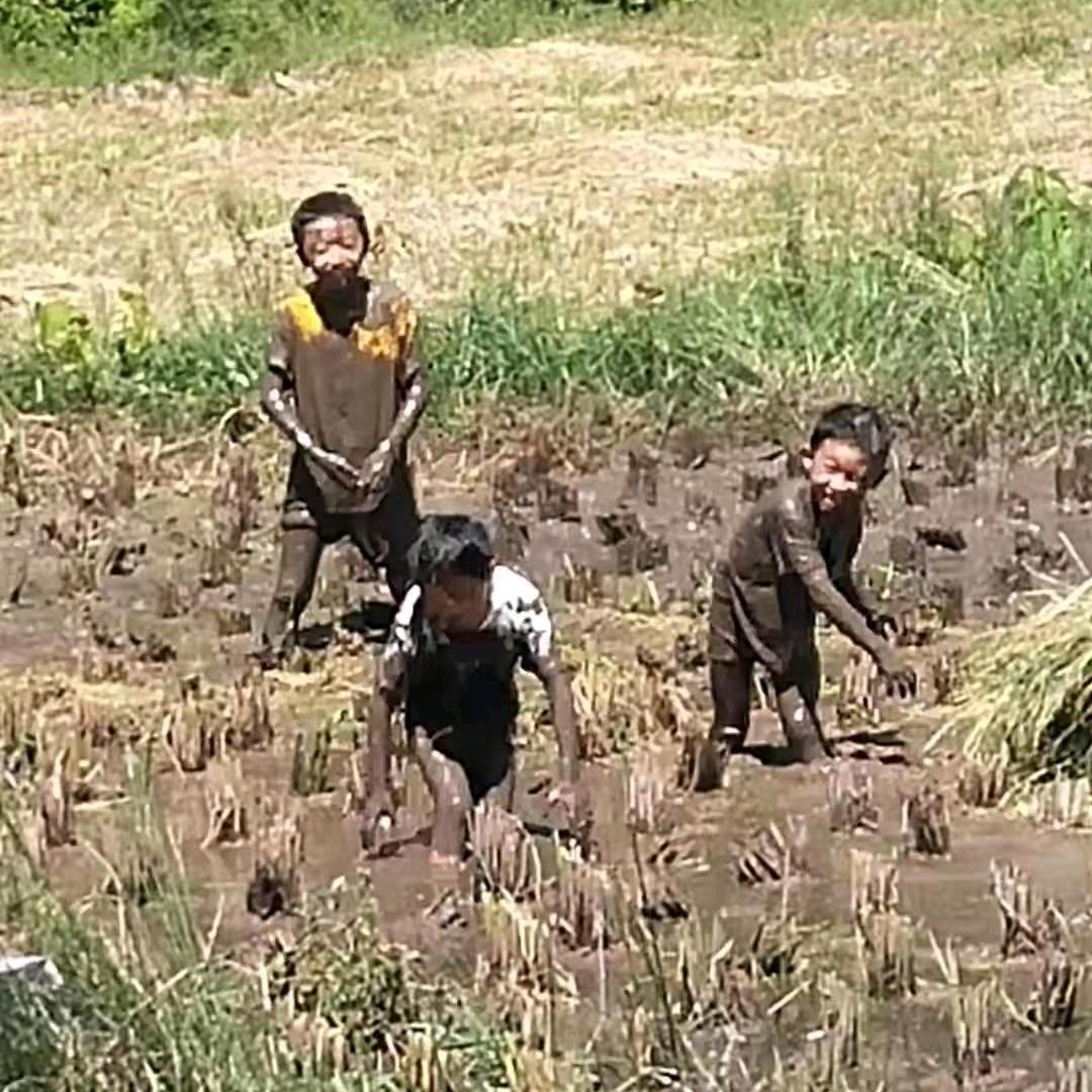 游戏人生！