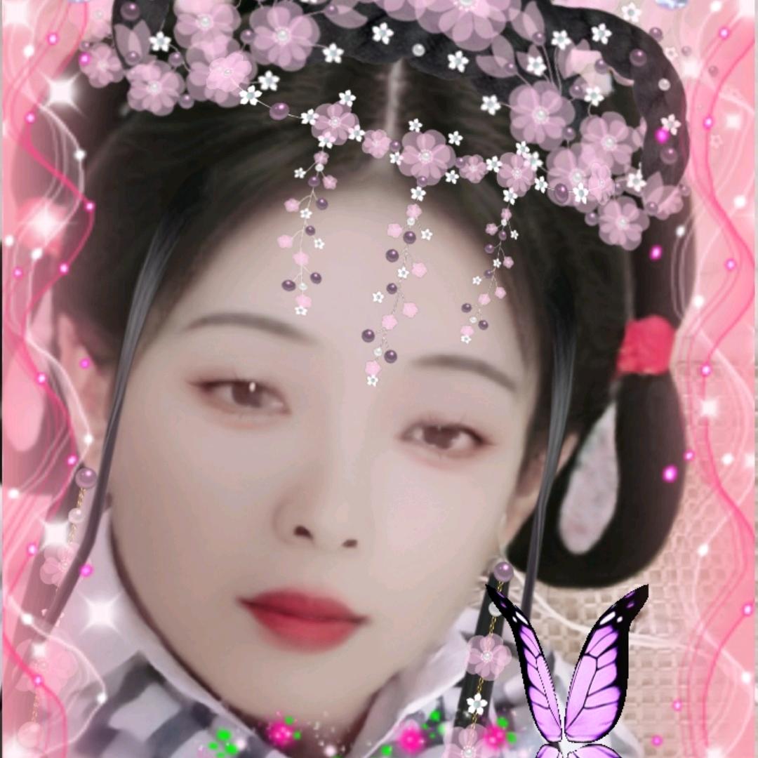 黄美英中午十一点半直播