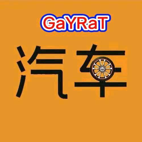 GaYRaT~说车