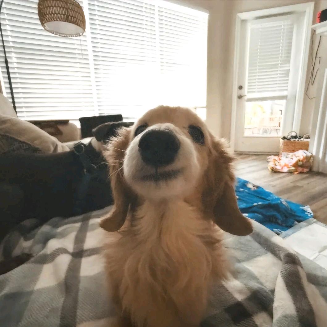 宝爸十胎已封肛