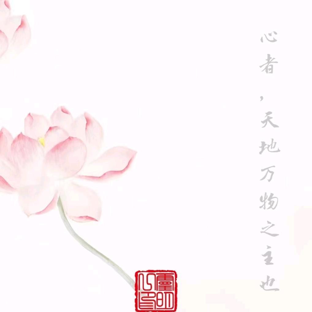 心无尘