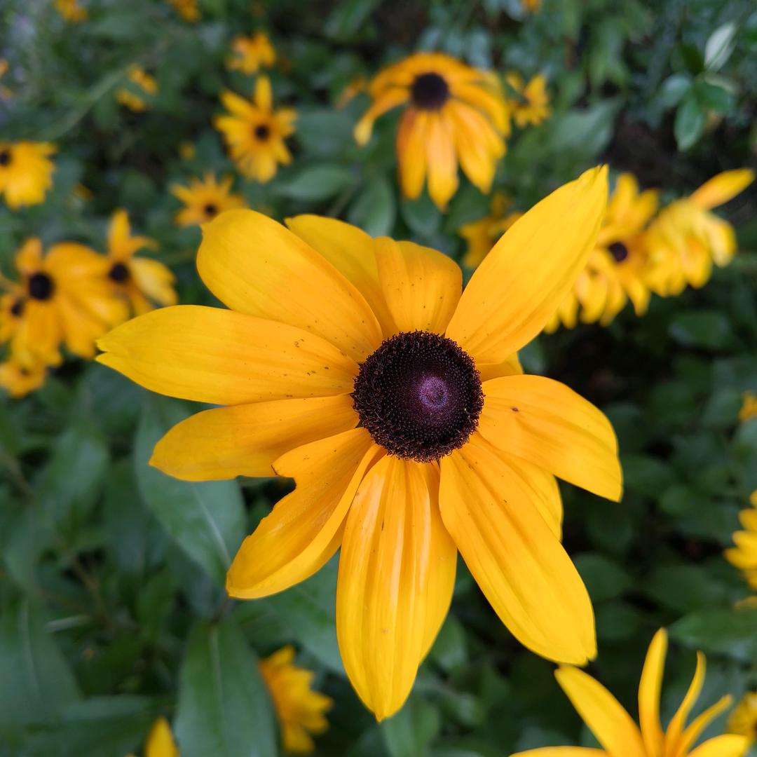 同学你好文具店