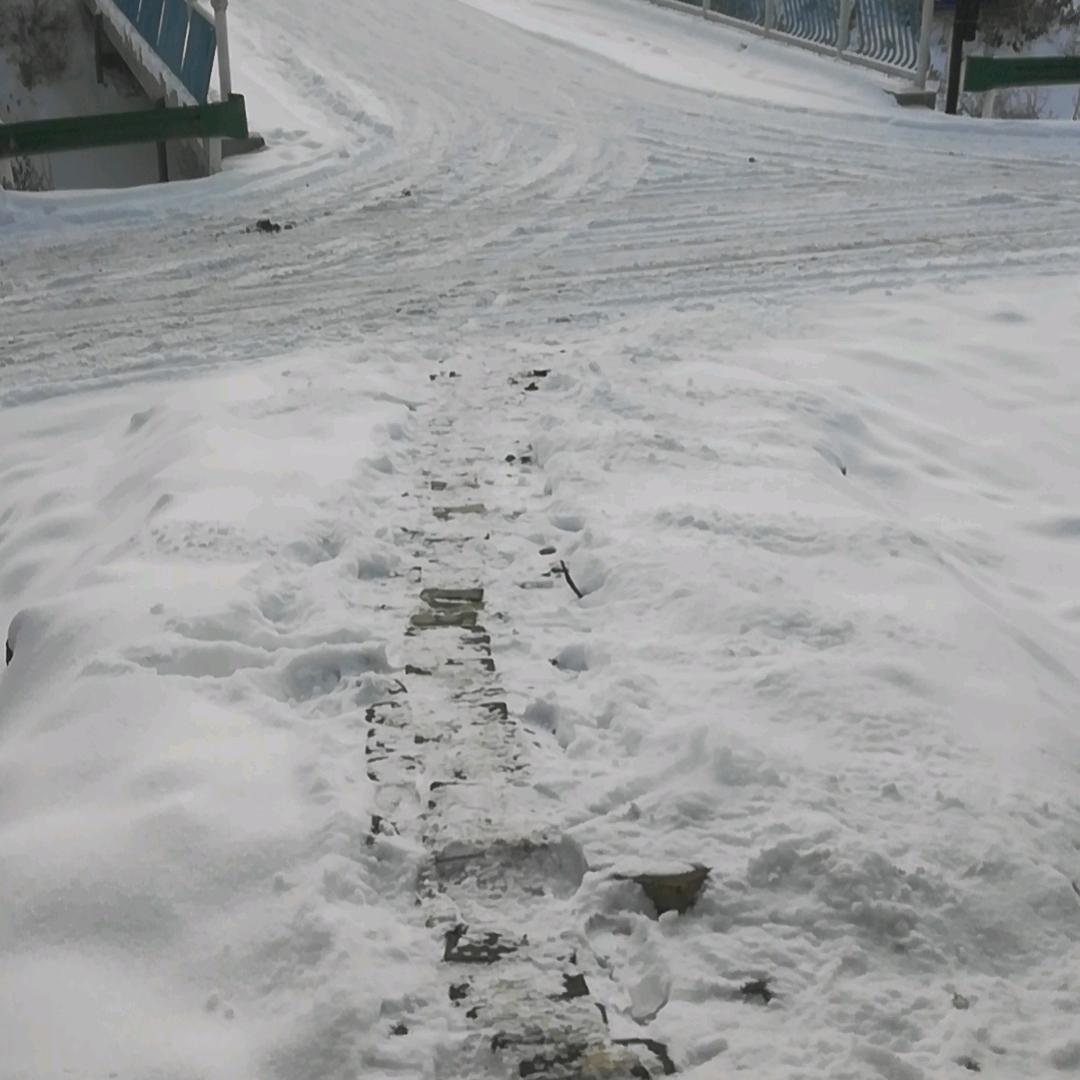 四川资中人在伊宁