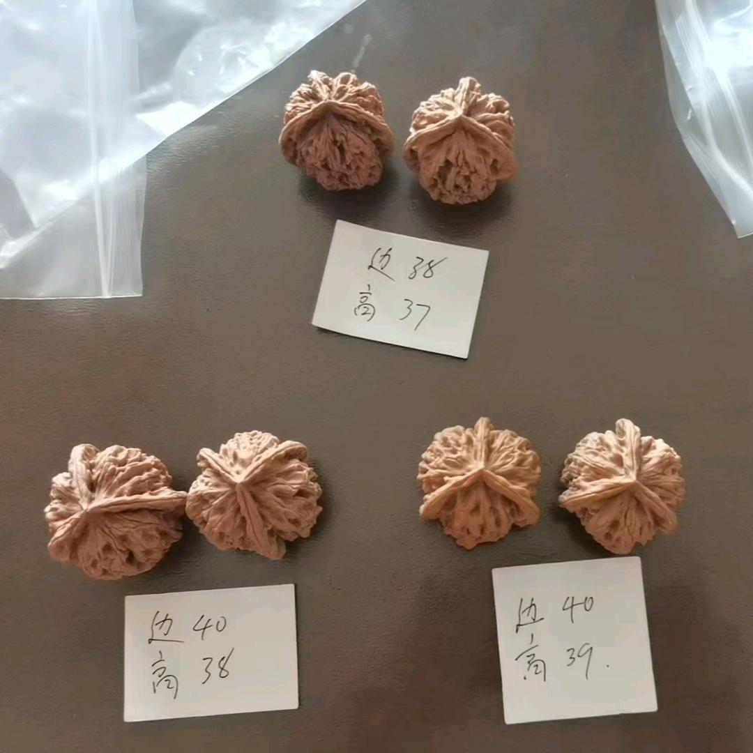 聚核园百货