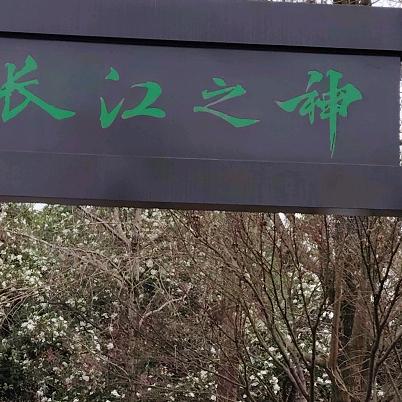 走在岁月中，活在珍惜中.