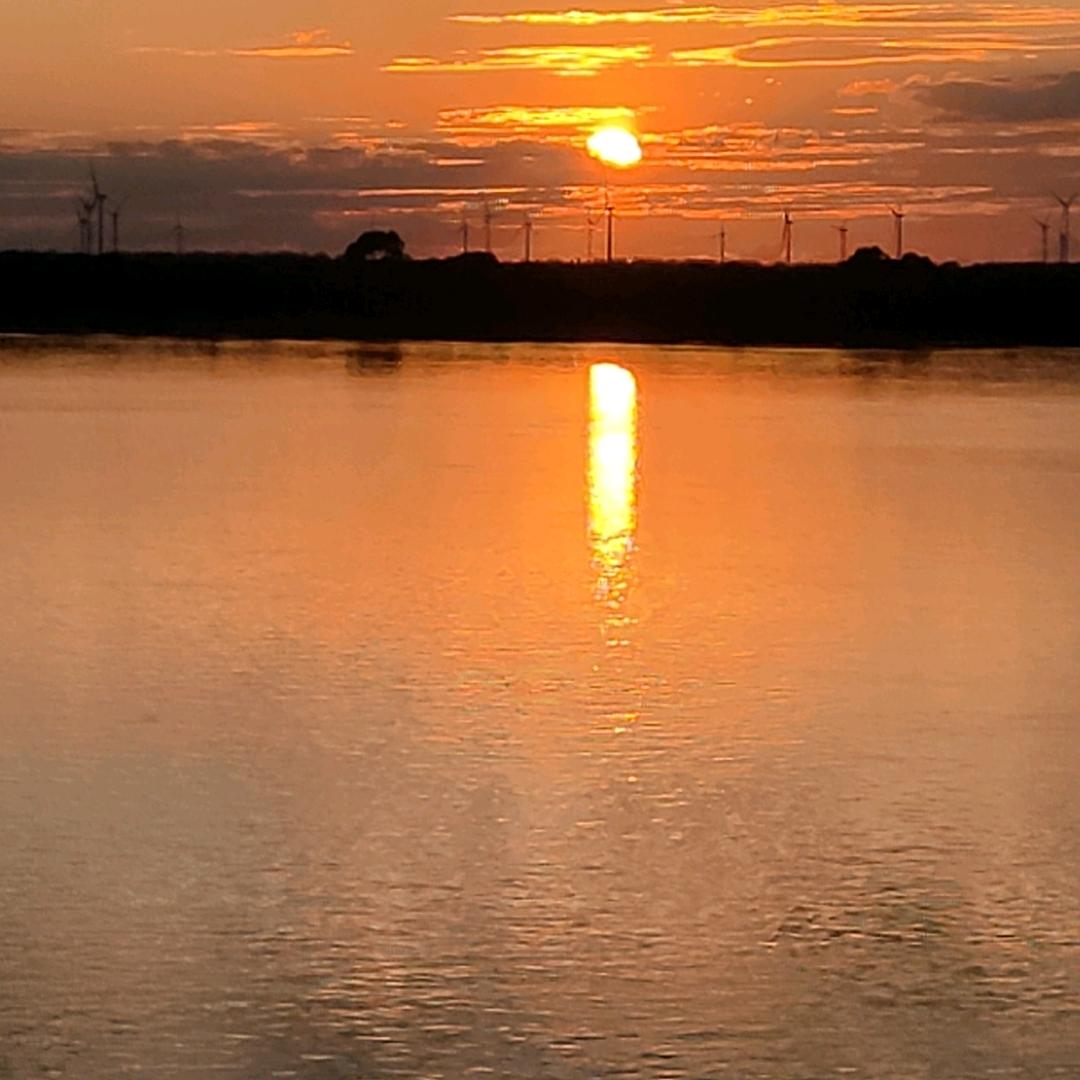 💫一碗大米粥🌙