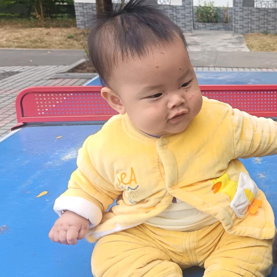 爱妃