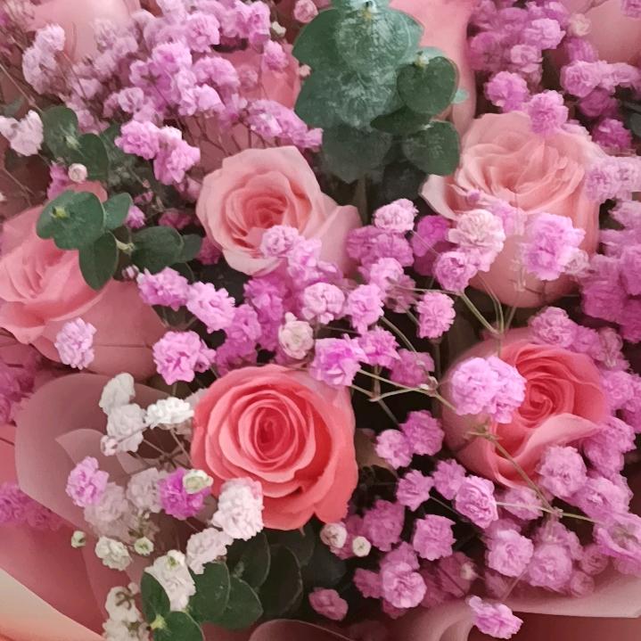 香香公主@🌲🌲🌴🌴🥀🌹🌷