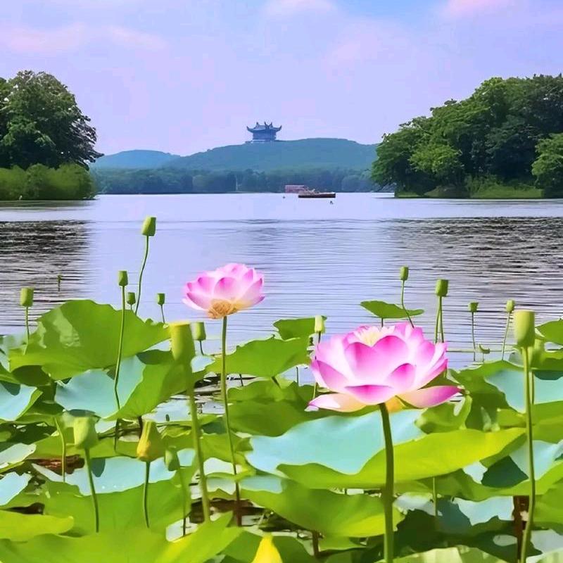 萬民大正