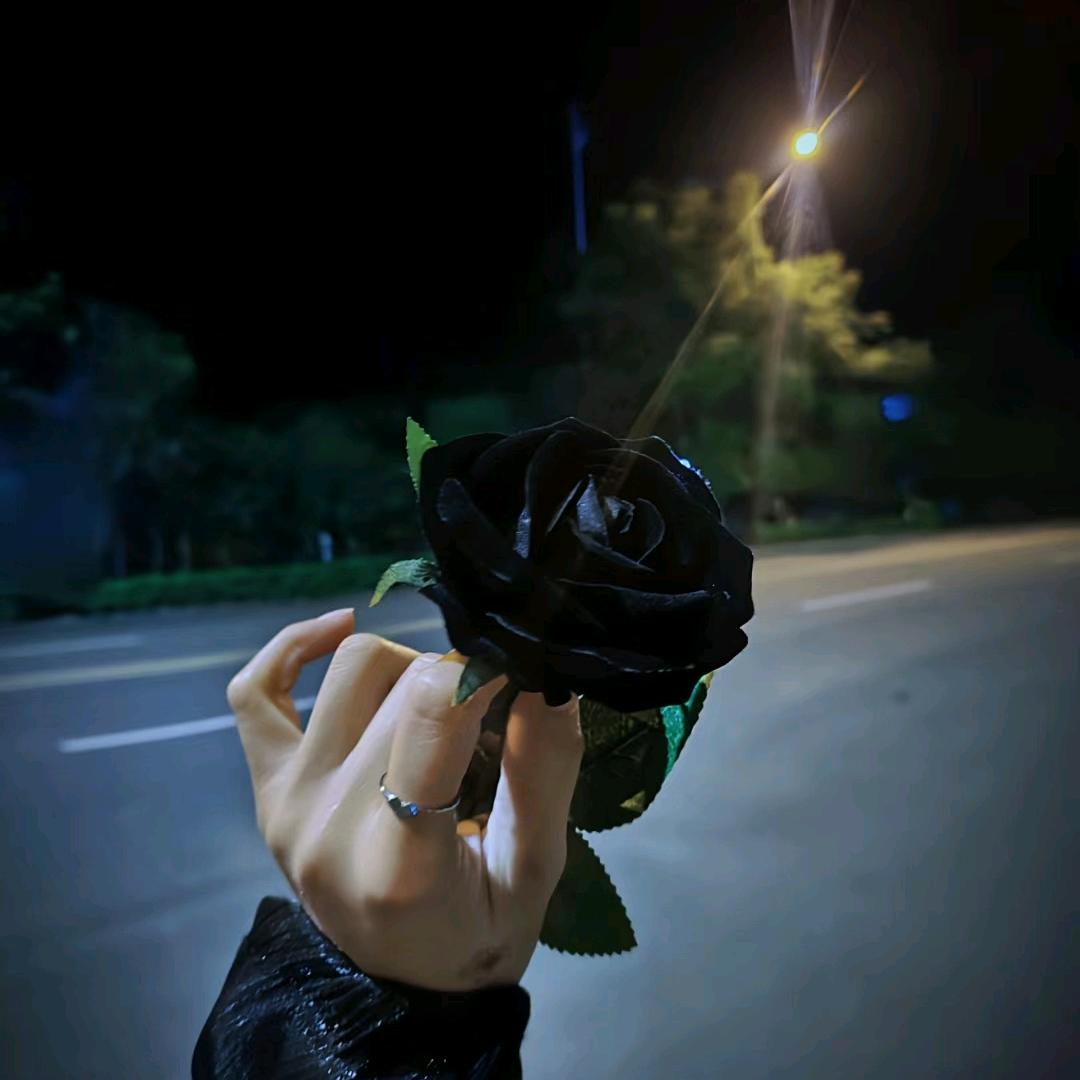 ℳ̶̶̶̶♡̶҉Z꧔ꦿ℘