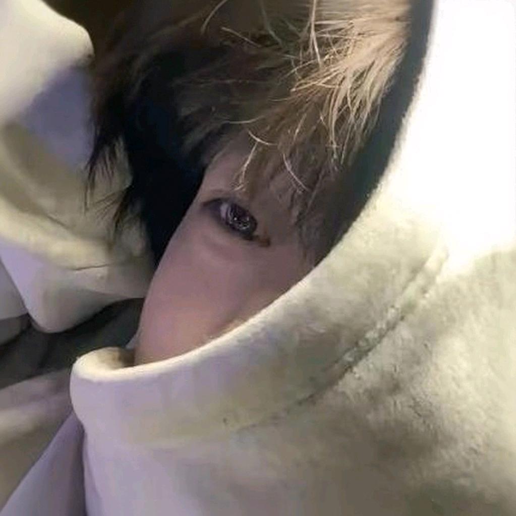 不会开飞机