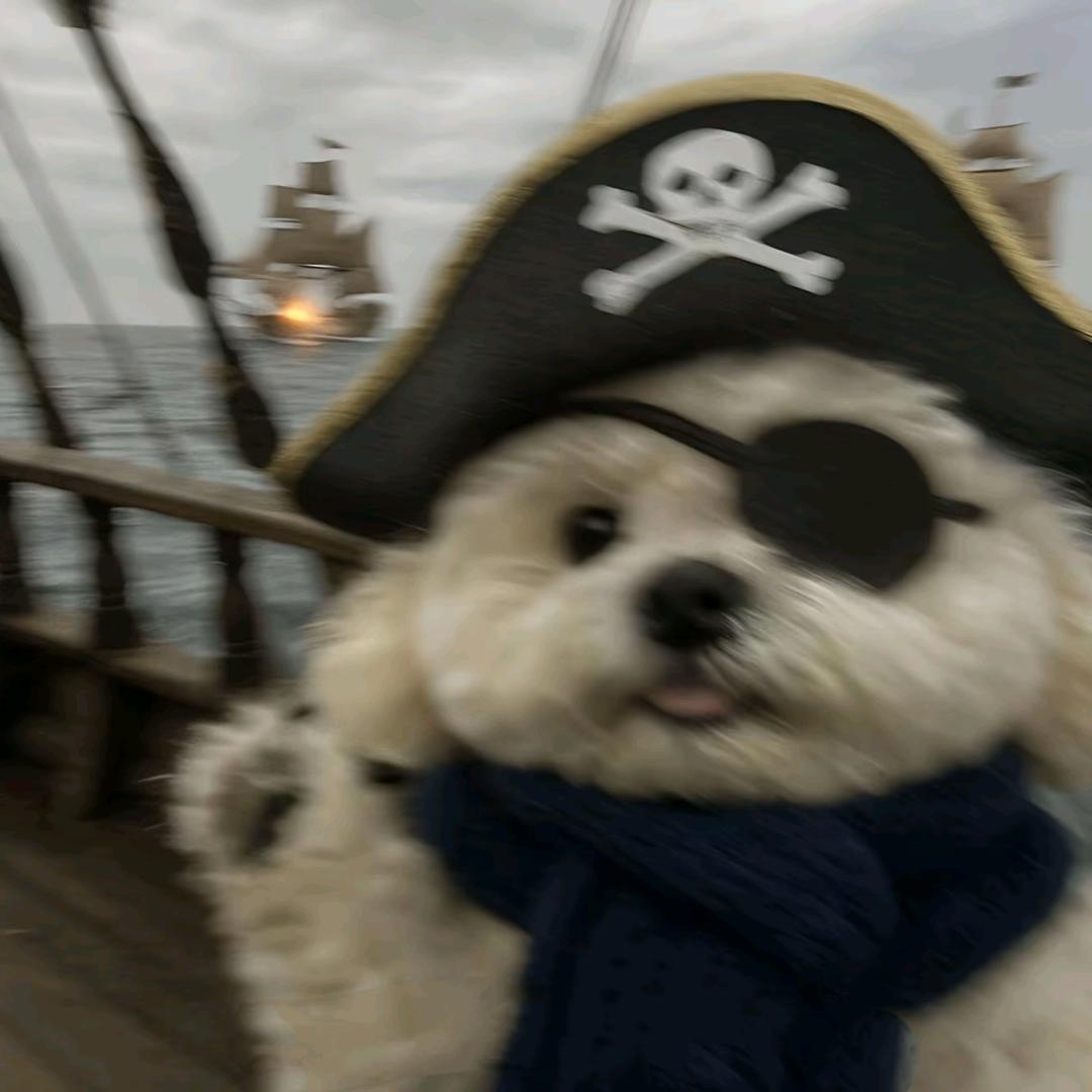 去问猫耳朵