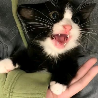 ：33