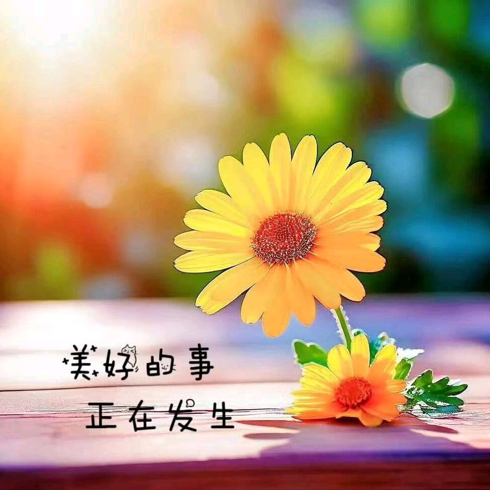 拖鞋♡钦