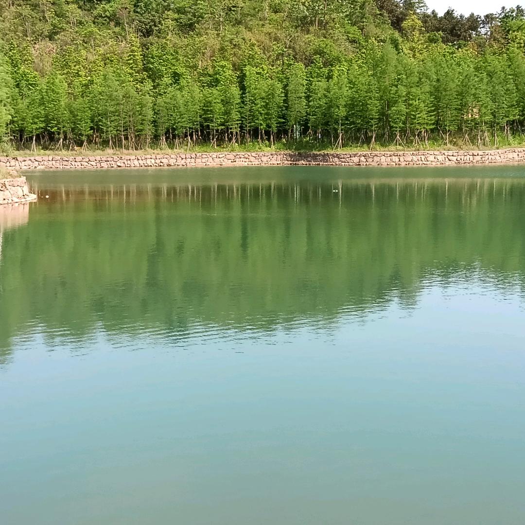 小任性