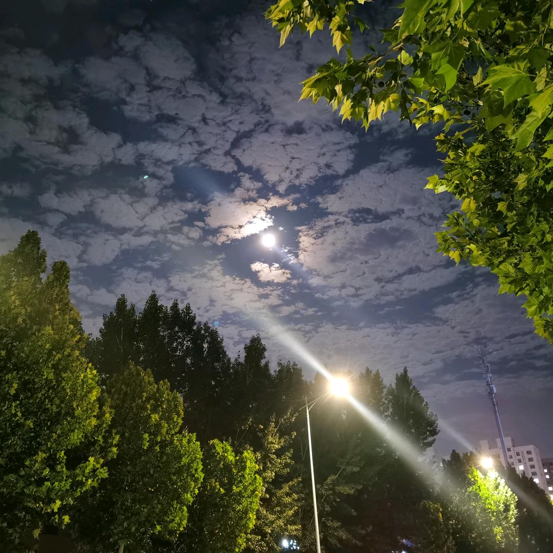 ✅人生何处不相逢