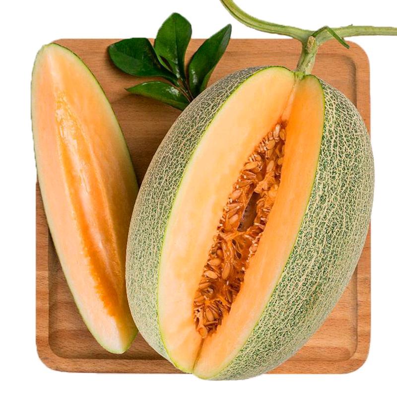 蜜瓜物语