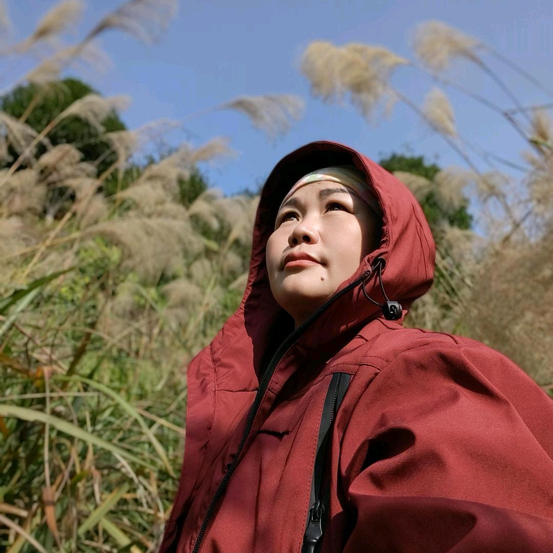 菜腿范范一路发