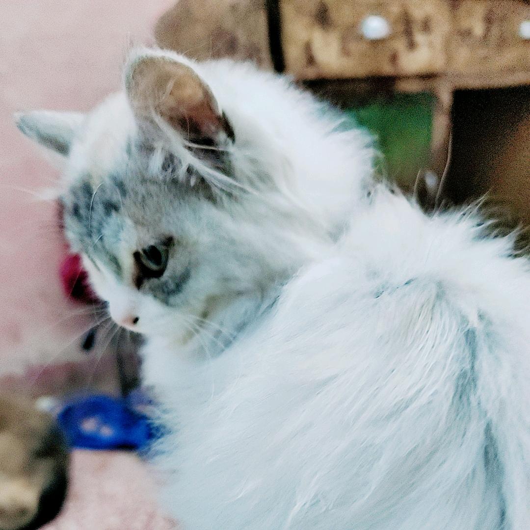 ^0^郭小郭^0^