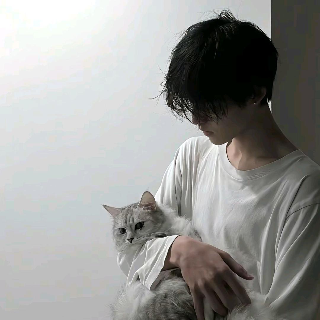 云柒