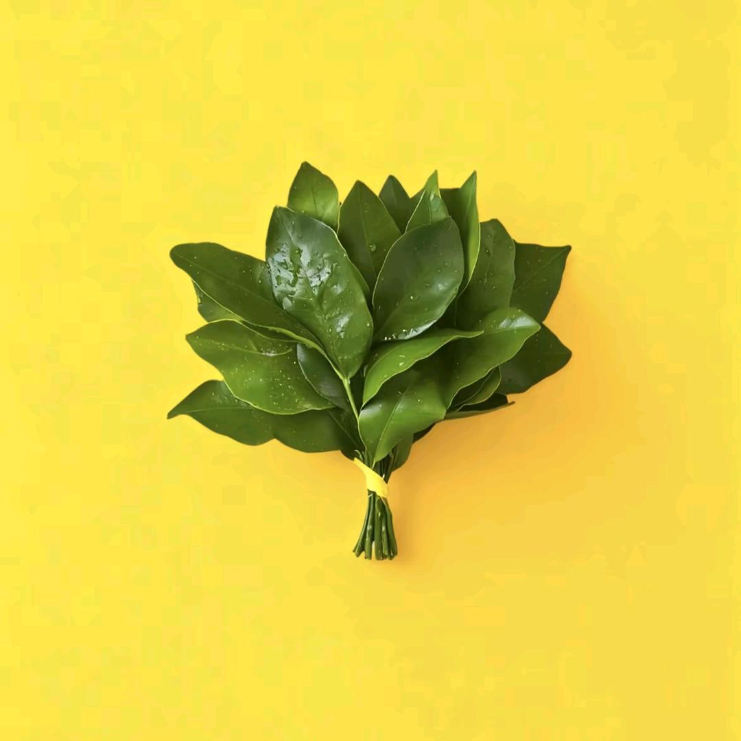阿阿尼