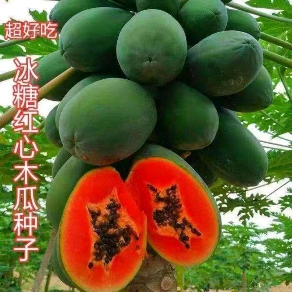 庆裕果树苗木专营店
