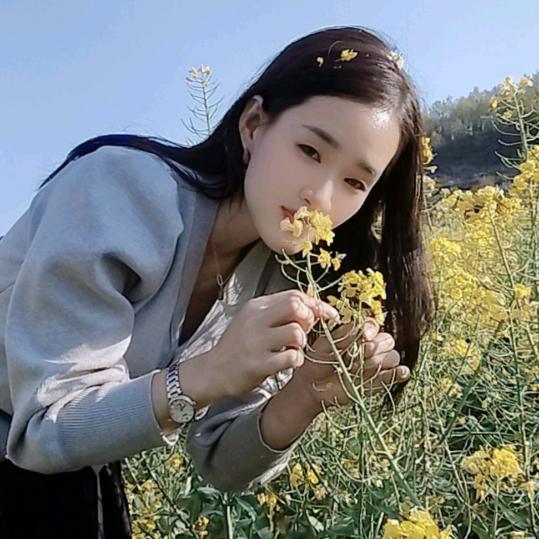 转账一停感情归零