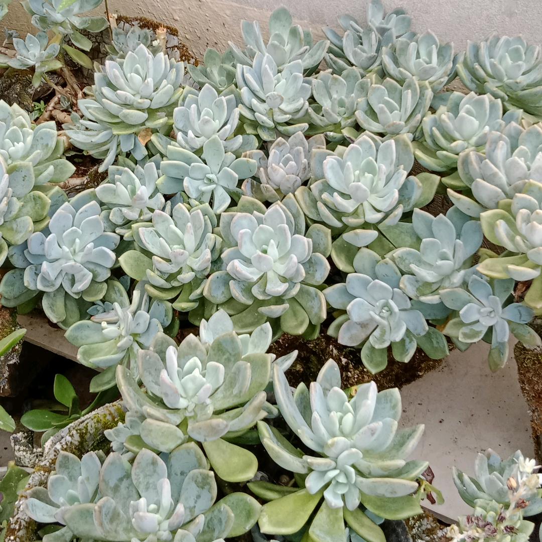 懂得珍惜，才配拥有💅